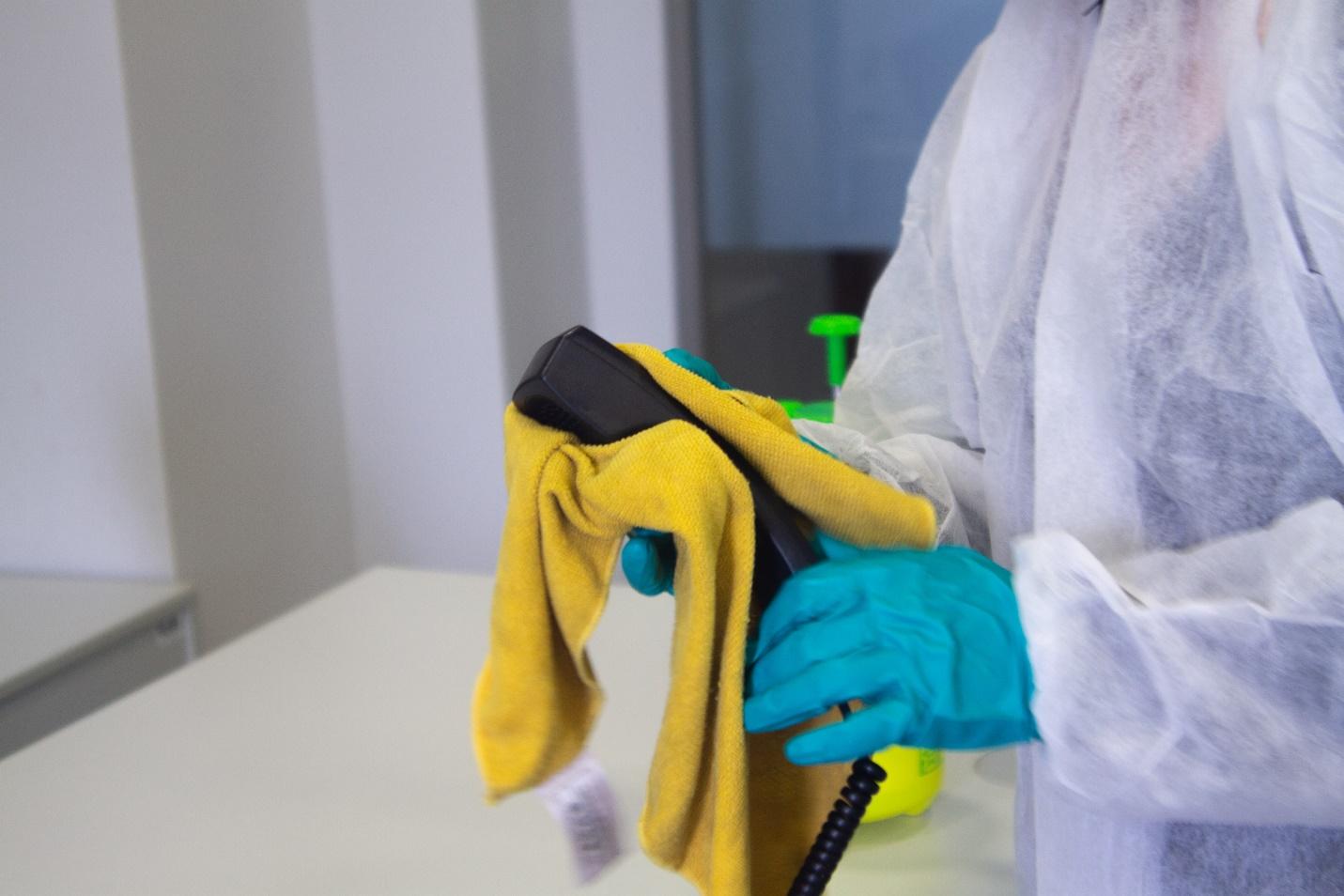 Mold Removal Service