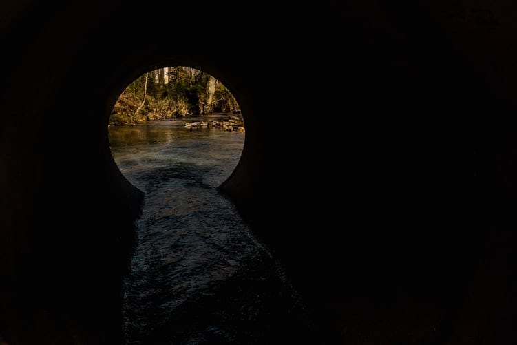 Sewage Backup