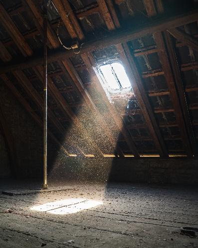 Attic Mold Remediation