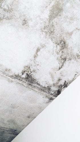 Mold