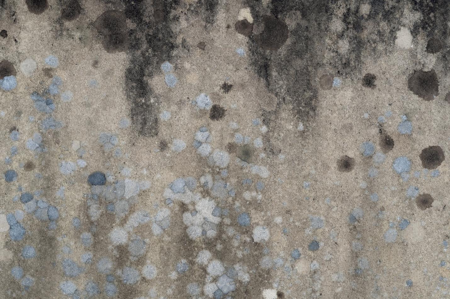 Richmond VA-Mold Remediation Services Available at Our Home Restoration Company