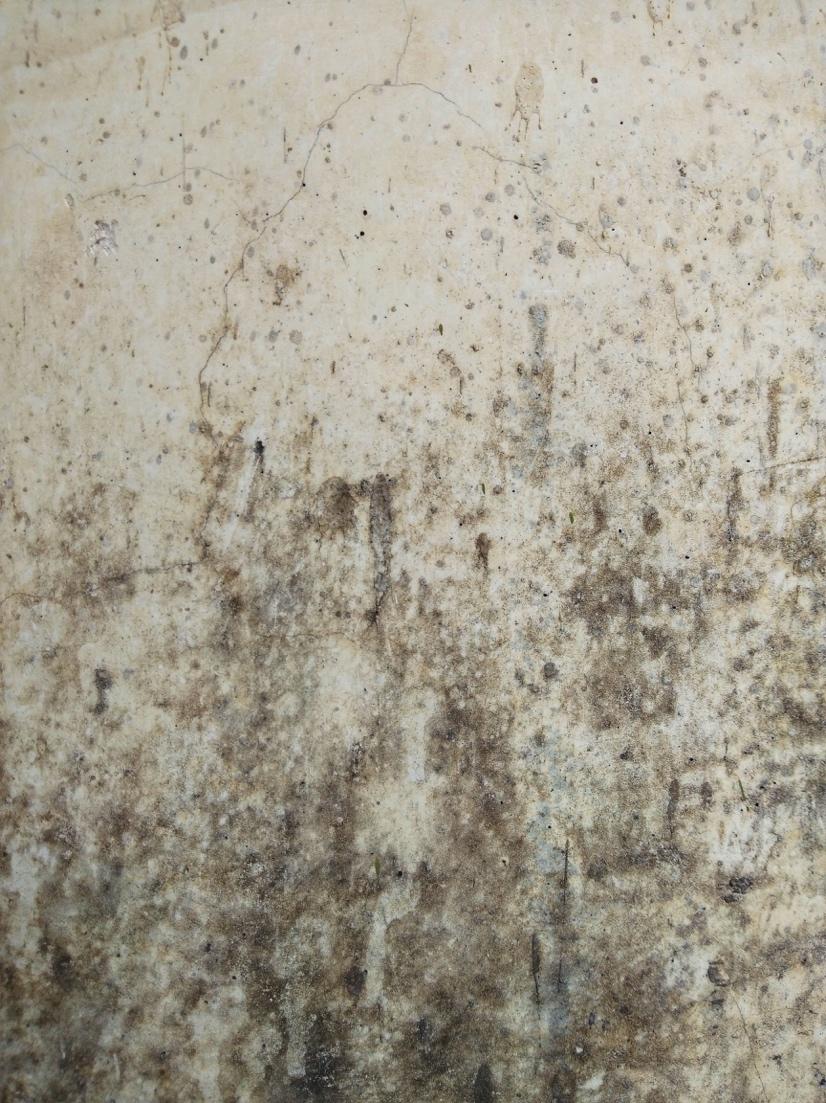 Chesterfield, VA - Searching for a Home Restoration Company for Mold Removal?