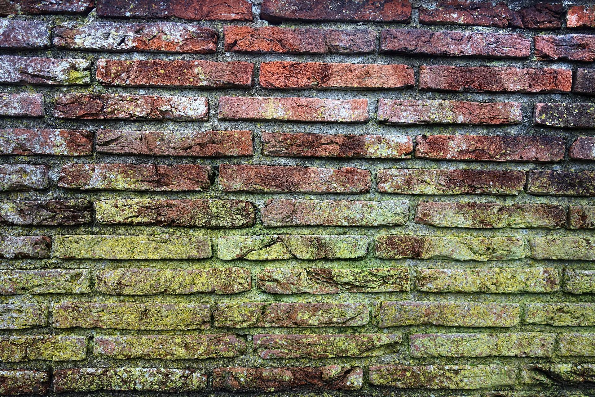 Chesterfield, VA - Mold Remediation Services at Our Home Restoration Company