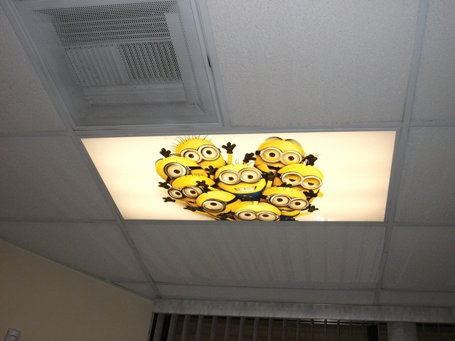 Shed Light In Your Office