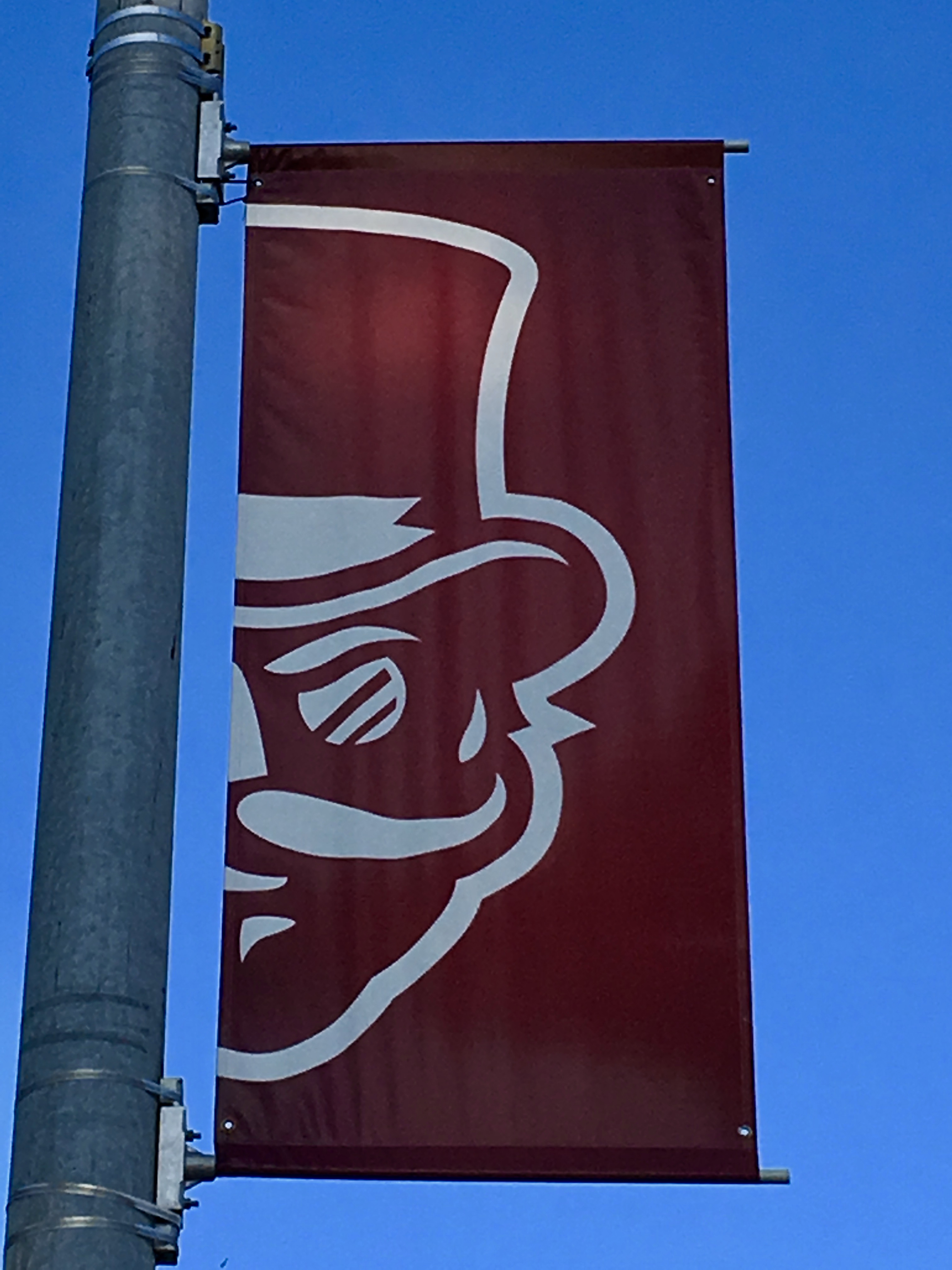 Sacramento, CA – Sign Making 101: Banner Finishes and Substrates | Sign Shop New