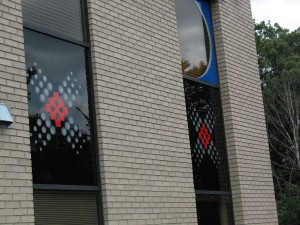 IMG_6955