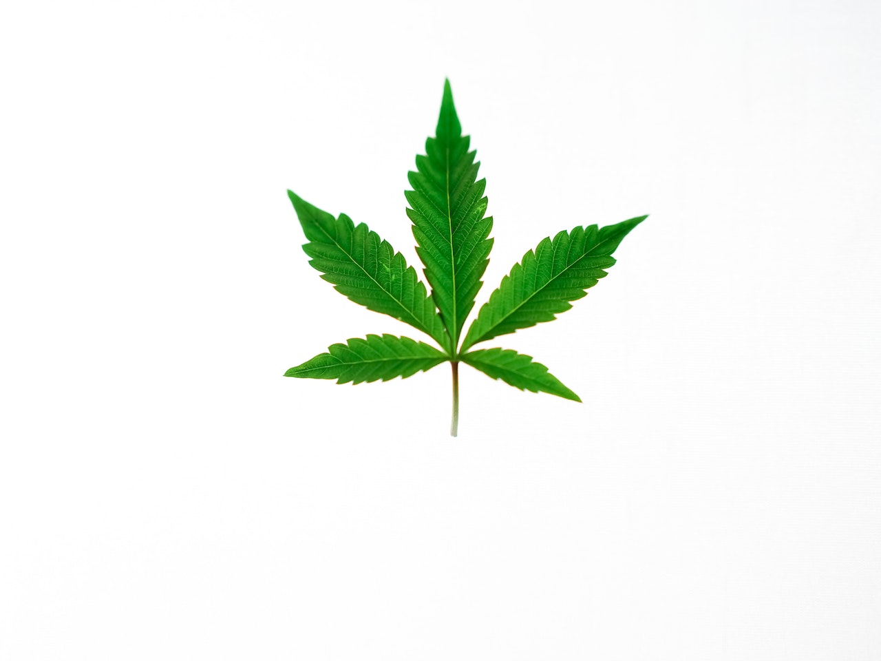 Why Delta 8 Joints Are The Perfect & Ideal Addition To Your Yoga Practice?