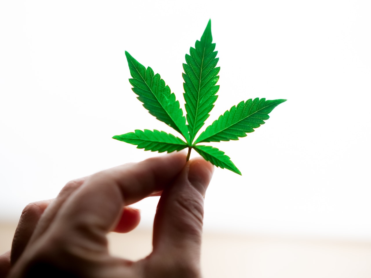 Delta 8 Joints | Delta 8 Joints VS. CBD Joints: Which Is Better For Pain Relief?