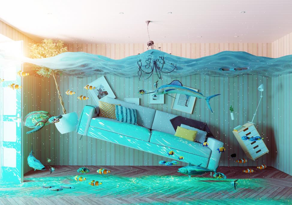San Francisco, CA - Water Damage after a Storm - Water Damage Restoration News