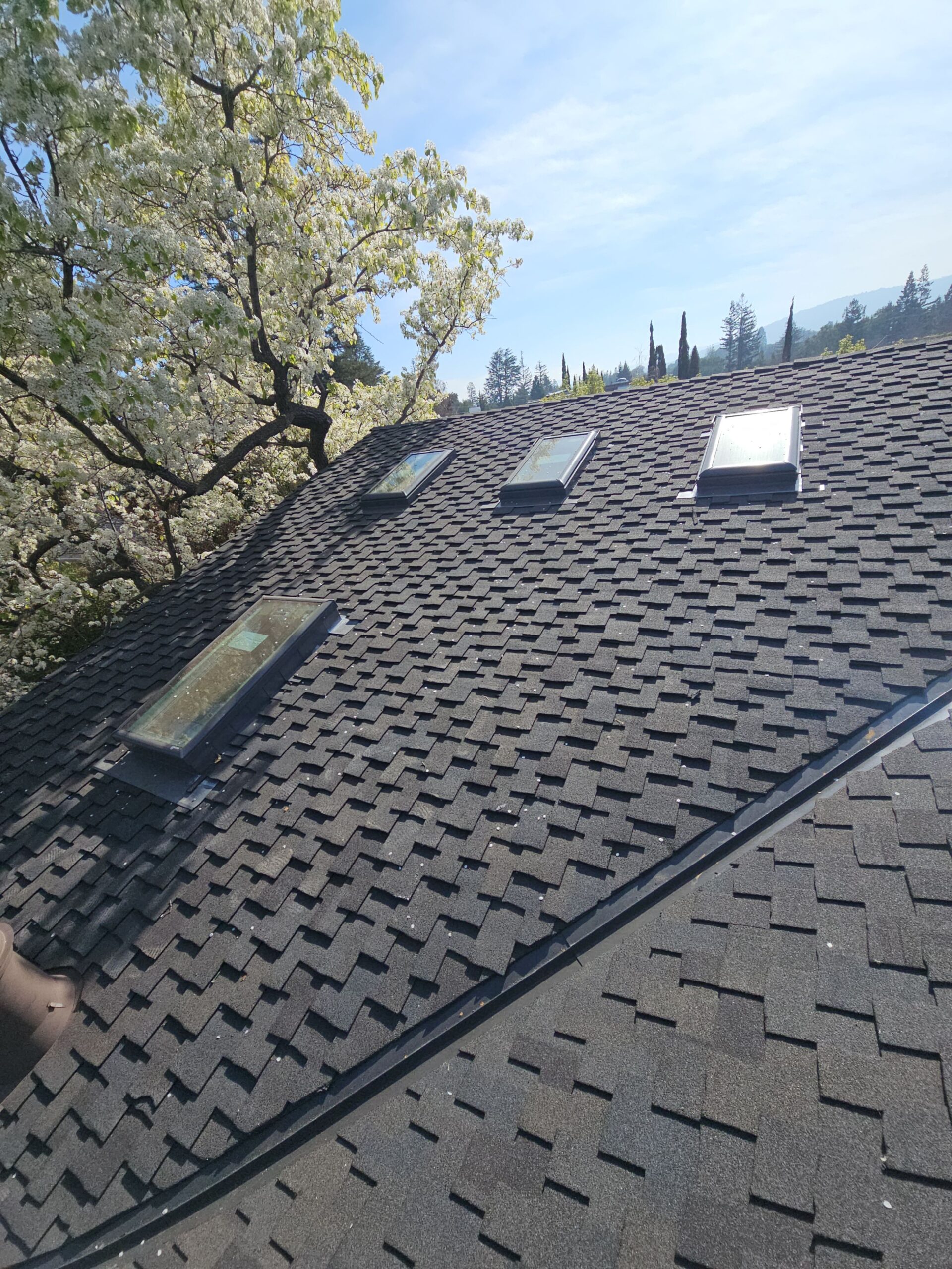 Castro Valley, CA - How do Roofers Replace Leaky Skylights Before Heavy Rain?