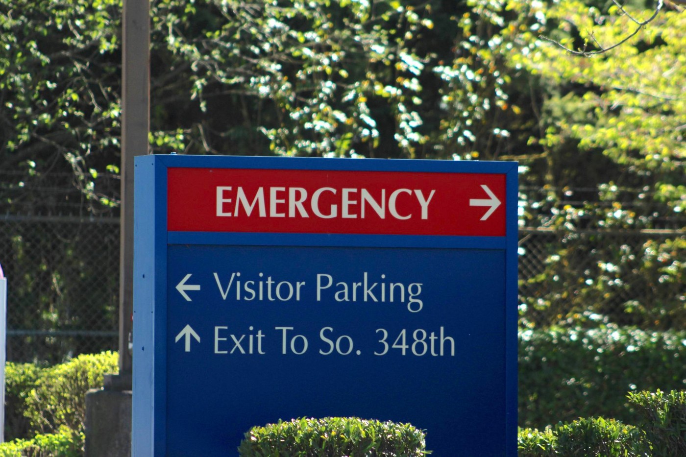 Pleasanton, CA - How a Custom Sign Business Elevates Medical Office Wayfinding