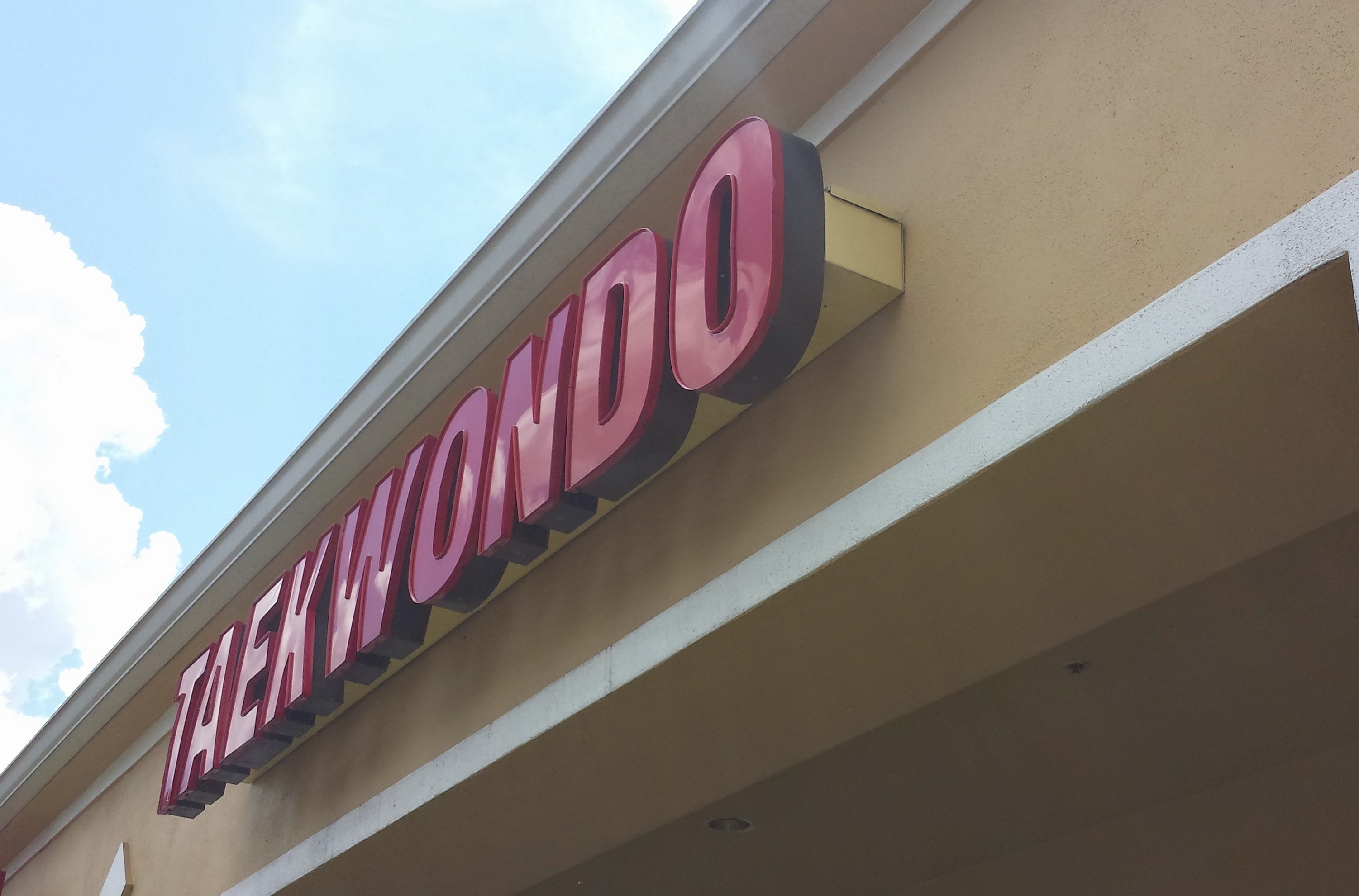 LWR Taekwondo Channel Letters