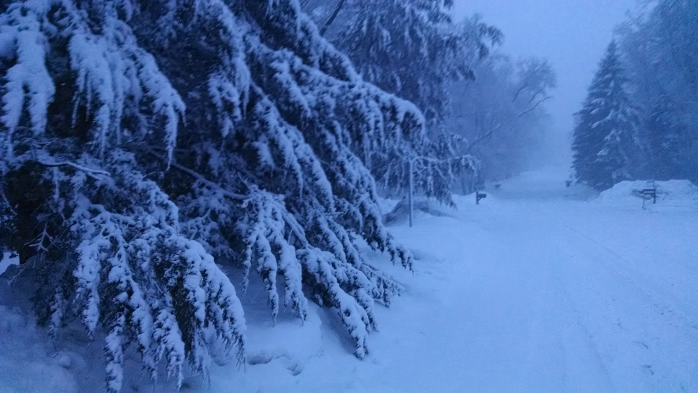 WinterBlog