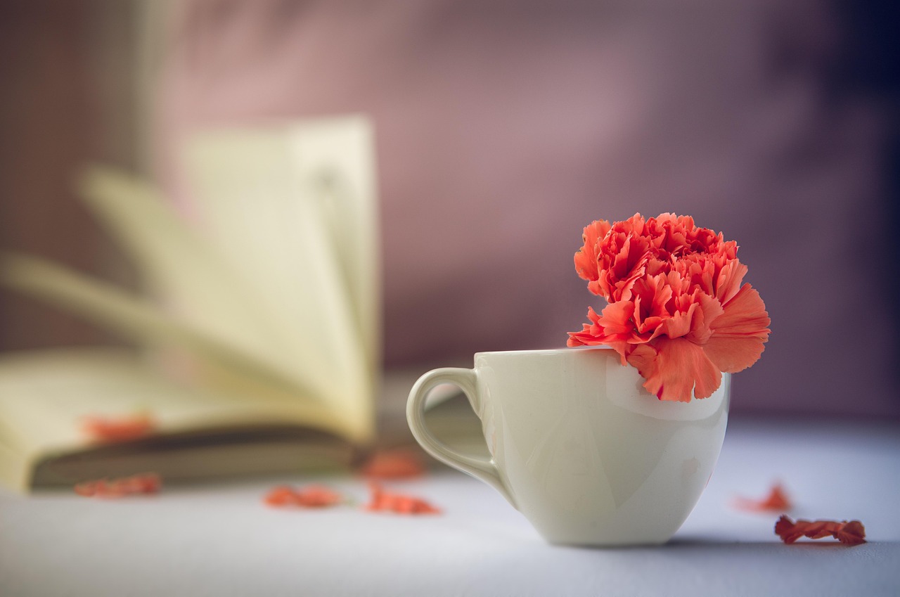 Is Your Coffee Shop Ready for Top-Rated Franchise Development & Scaling Growth?
