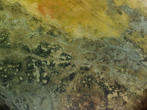 water damage restoration for ceilings and attics