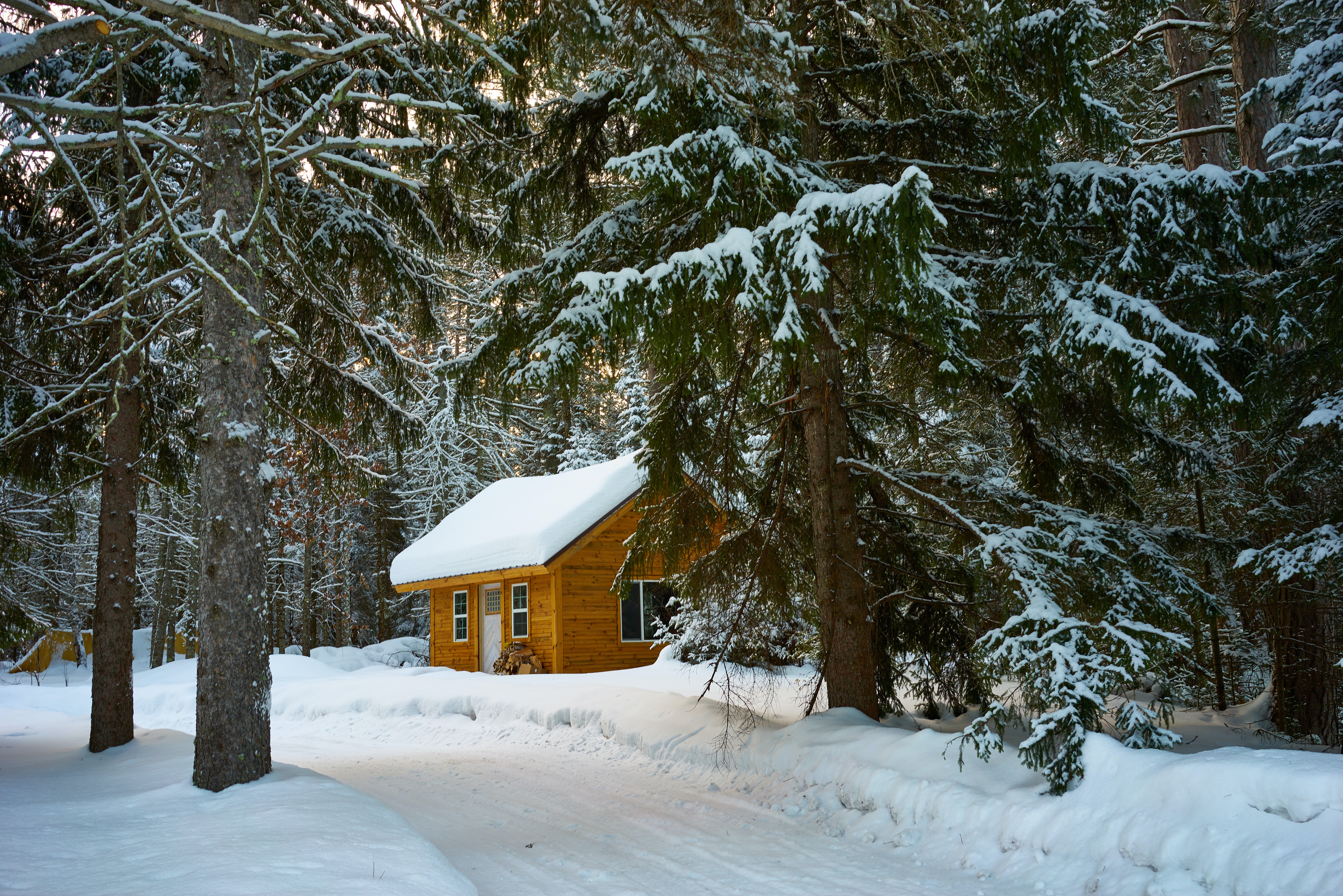 Winter Home