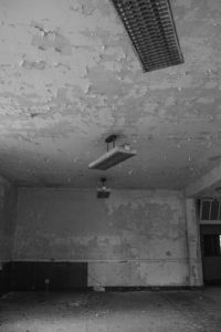 Unwanted Mold
