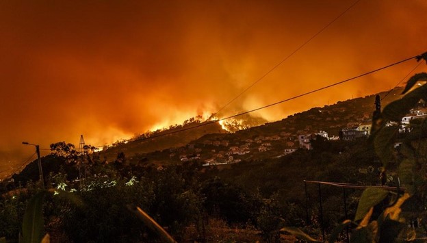How to Protect Yourself, Your Family, and Home Against Wildfire Smoke Damage