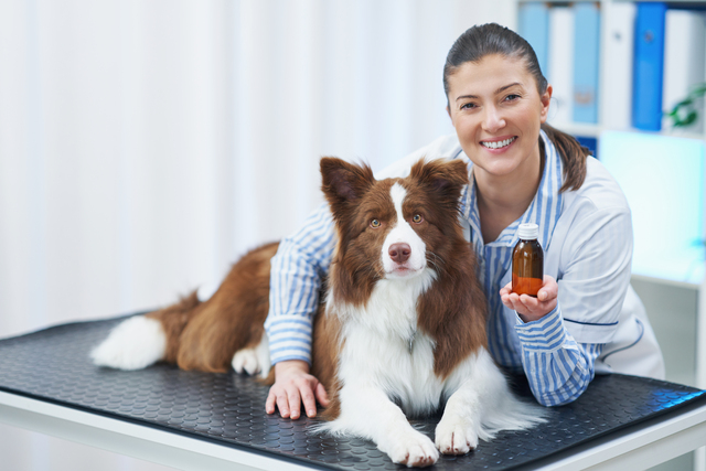 Steamboat Springs, CO - Importance of Hiring a Business Coach as a Veterinarian