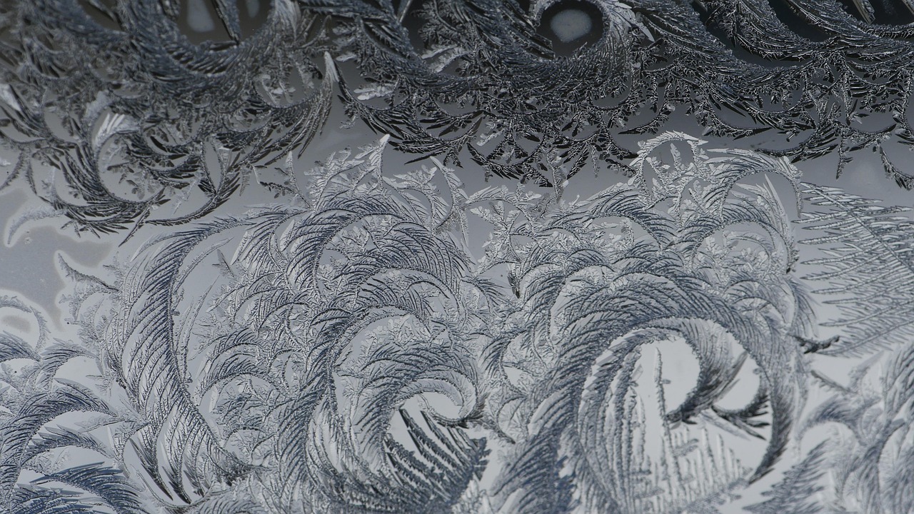 Tampa,FL-  Door & Lobby Frosted Signs Yield Sunny Forecast