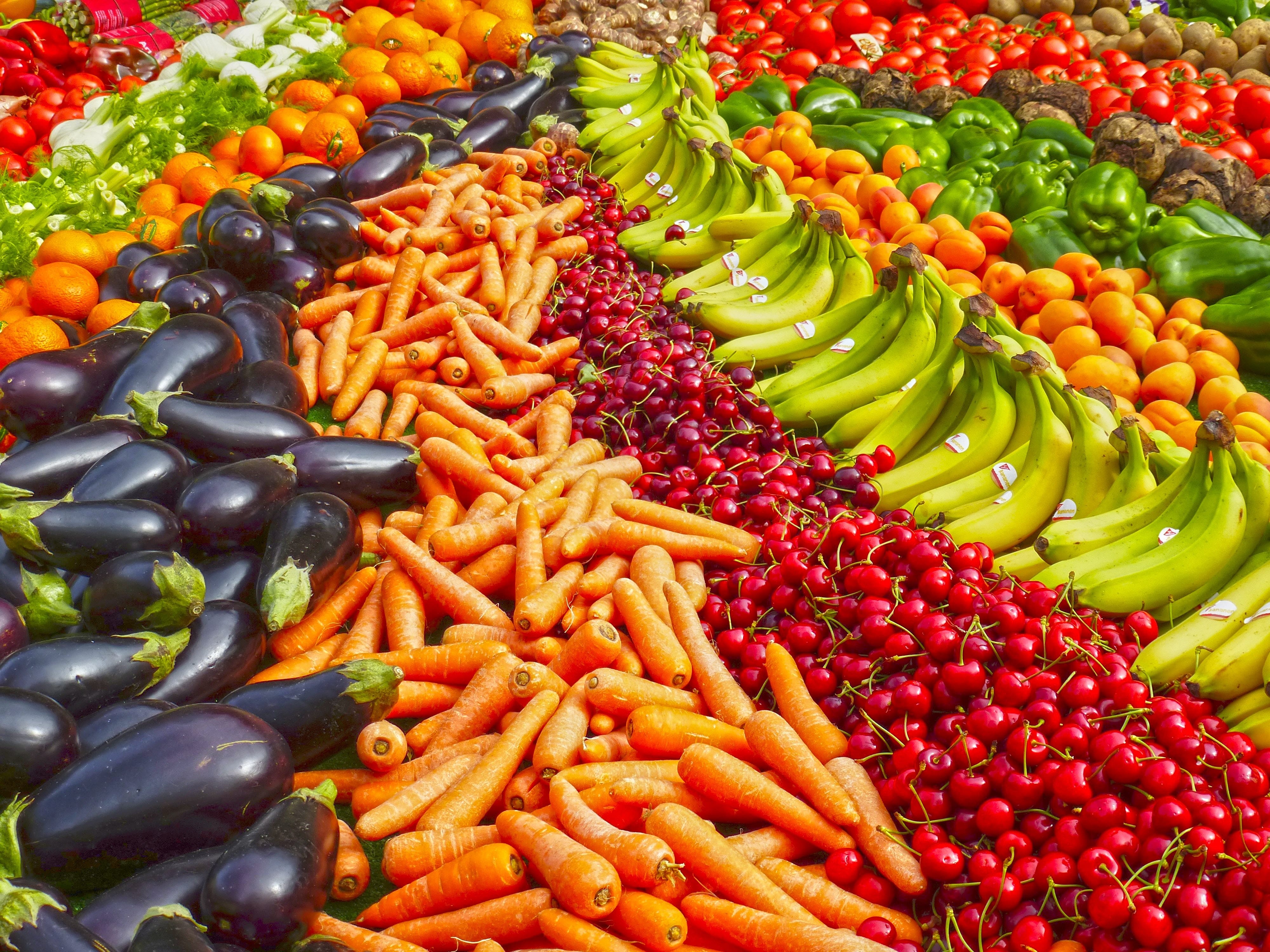 City, ST - Professional Nutrition Services for Local Real Estate Company