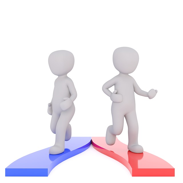 Did You Know? - There Are 2 Types of Franchise Consultants - Washington, D.C.