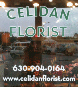 Cut-vinyl-window-lettering