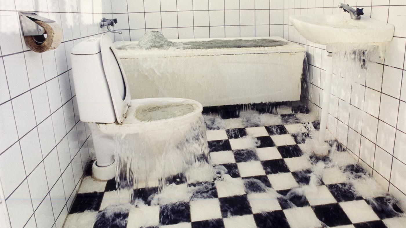 Toilet Blockage in High Point, North Carolina | Home Restoration News