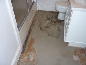 Water Damage & Mold Removal in Charlotte, NC